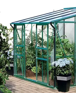 Skleník ke stěně VITAVIA IDA 5200 polykarbonát zelený Dekorhome