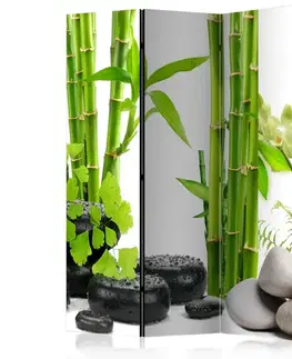 Paraván Bamboos and Stones Dekorhome