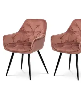 Sada jídelních židlí DCH-421 PINK4, 2 ks