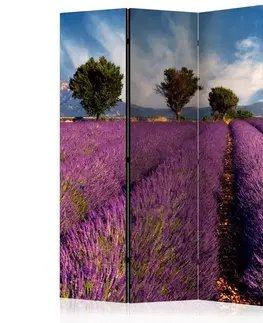 Paraván Lavender field in Provence, France Dekorhome