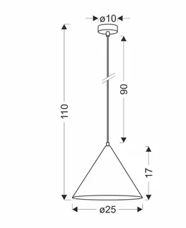 Závěsná lampa Dunca 25, černá, 1x40, E27, stínidlo ze světlého dubu