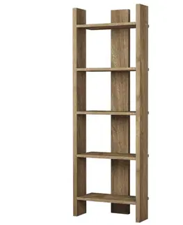 Knihovna Virba - Walnut