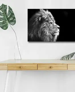 Dekorativní LED osvětlený obraz na plátně 4570DHDACT-058