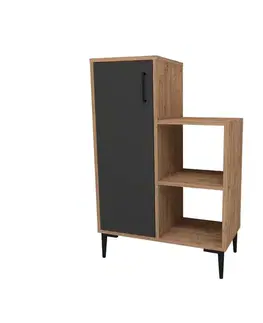 Víceúčelová skříňka Reysary - Atlantic Pine, Anthracite