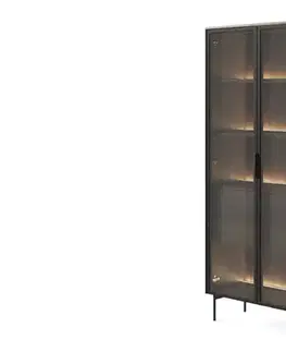 ArtLas Vitrína NAIRE 2D2S 91 s LED osvětlením | dub dunin