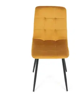Jídelní židle CT-281 samet Autronic