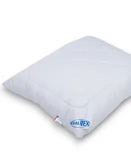 Kvalitex Polštář Aloe Vera se zipem 700 g, 70 × 90 cm, 700 g