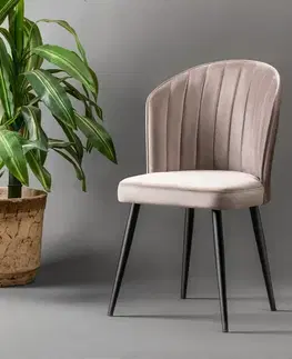 Sada jídelních židlí Rubi Cappuccino and Black, 2 ks