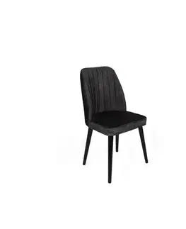 Sada jídelních židlí Alfa Anthracite and Black, 2 ks