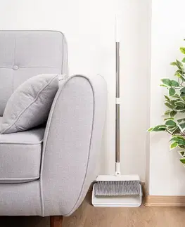 4Home Smetáček a lopatka s násadou Lenoch