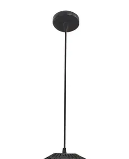 Závěsná stropní lampa 1X40W E27 černá EUPHORIA