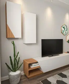 Televizní stolek se skříňkou Zebra White and Teak