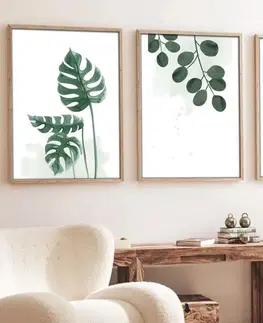 Dekorativní rámovaný obraz z MDF (3 kusy) Huhu193 - 70 x 50