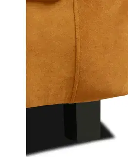 Křeslo LUANA Tempo Kondela