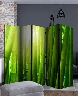Paraván Sun and bamboo Dekorhome