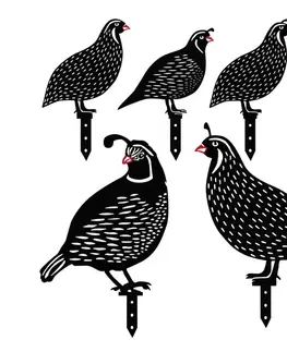 Sada dekorativních kovových doplňků na zahradu Quails