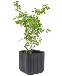 KETER Květináč BRICK PLANTER SM | grafit