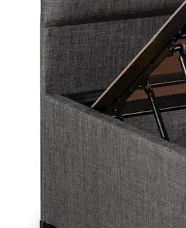 Rám jednolůžkové postele s čelem Silver - Grey (90 x 200)