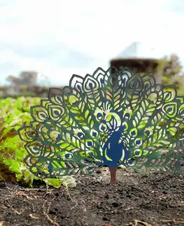 Zahradní dekorace Peacock