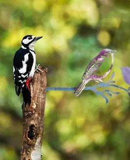Zahradní dekorace Bird on the branch 22