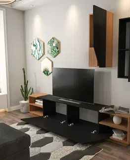 Televizní stolek se skříňkou Zebra Black and Teak