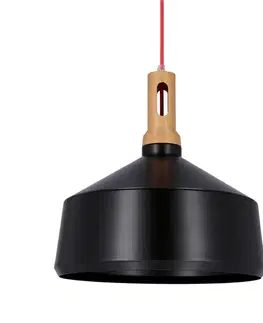 Závěsná lampa Robinson 36 1X60W E27 černo-černá