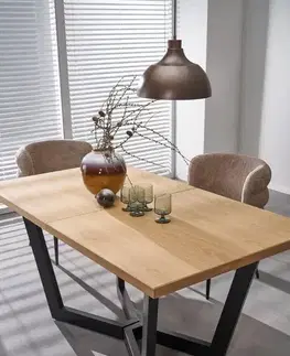 Jídelní židle K575 HALMAR