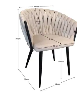 Jídelní křeslo BLERTempo Kondela