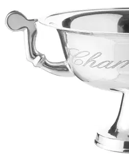 Estila Mísa na chlazení šampaňského Champagne stříbrná
