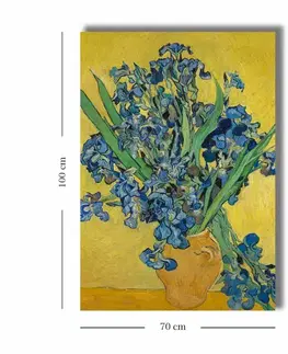 Dekorativní obraz na plátně 70100VANGOGH051