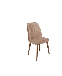 Sada jídelních židlí Alfa Beige and Walnut, 2 ks