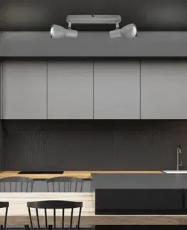 Nástěnná stropní lampa stříbrná 2x40W Picardo