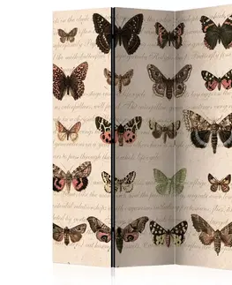 Paraván Retro Style: Butterflies Dekorhome