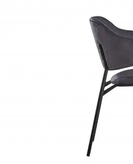 Jídelní židle 2 ks CHRYSAOR Dekorhome