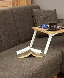 Stůl pro práci na notebooku vestoje Gusto Cats - Atlantic