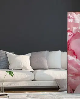 Paraván Sweet Peonies Dekorhome