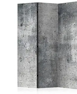 Paraván Fresh Concrete Dekorhome