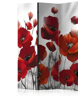 Paraván Poppies in the Moonlight Dekorhome