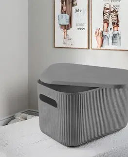 Desk Organizer ORG - 2026