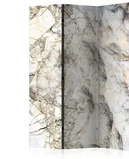 Paraván Marble Mystery Dekorhome