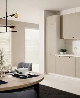 ArtExt Kuchyňská skříňka spodní BONN | D2A 60/1A Barva korpusu: Grey