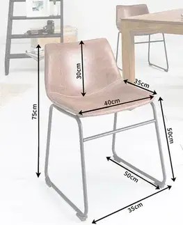Jídelní židle 2 ks DANAÉ Dekorhome