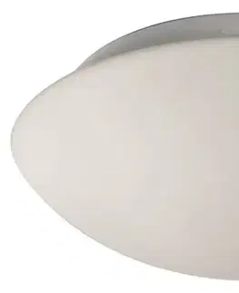 Stropní lampa do koupelny s bílým sklem E27 60W 17,5 cm Nina