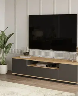 Televizní stolek Fran Atlantic Pine and Anthracite