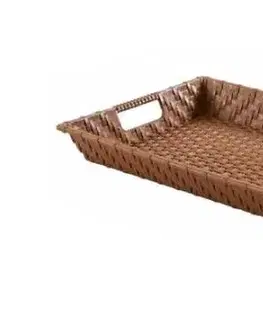 PROHOME - Podnos Rattan s uchy 47,5x35x6cm různé barvy