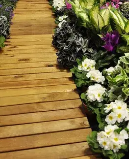Zahradní fóliovník HG 2x3m