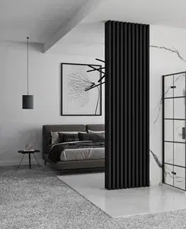REA/S Sprchová kabina Molier Black Double 90x100 KPL-12012