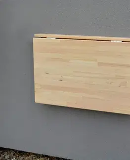 Nástěnný sklápěcí stolek Rojaplast