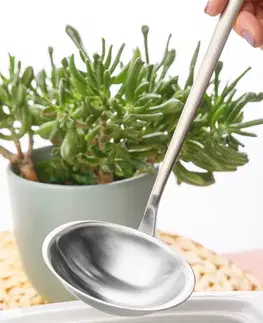 Naběračka na polévku - Living matná - 110665