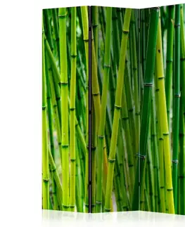 Paraván Bamboo Forest Dekorhome